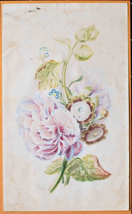 unleserlich signiert - Blumenschmuck, Rose Gallica - 1837 - Farbstift Zeichnung