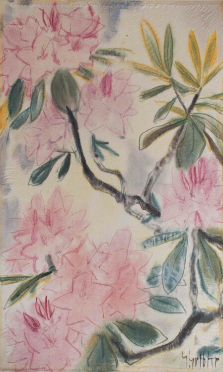 Georg Gelbke - Rhododendron - o.J. - Aquarell