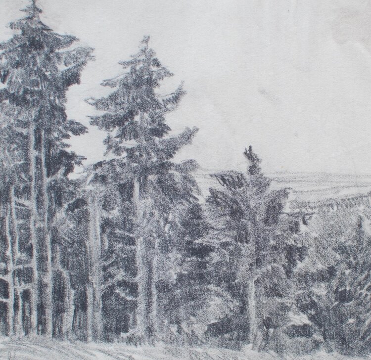 Leonhard Schnell - Bergige Baumlandschaft - Ende 1800 - Bleistift Zeichnung