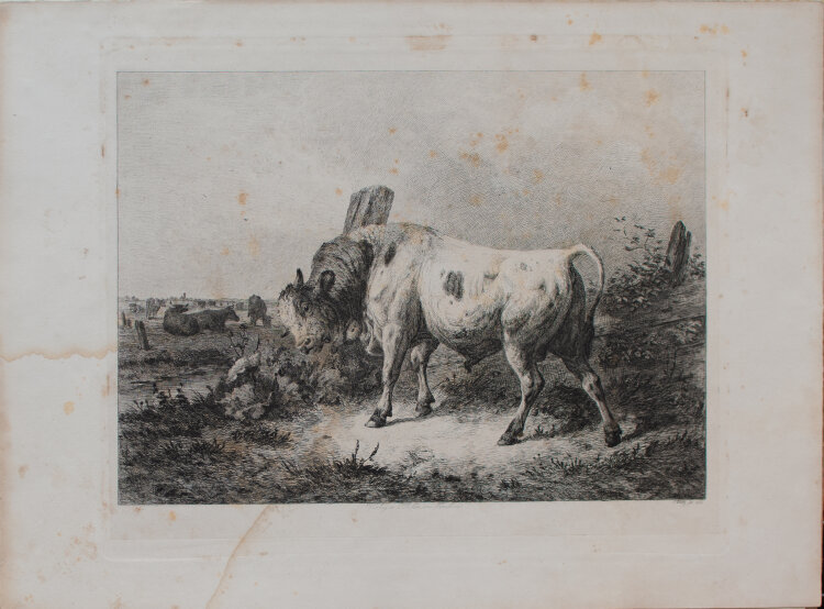 Friedrich Voltz - Kühe, Schafe und Ziegen - 1845 - Radierungen in Umschlag