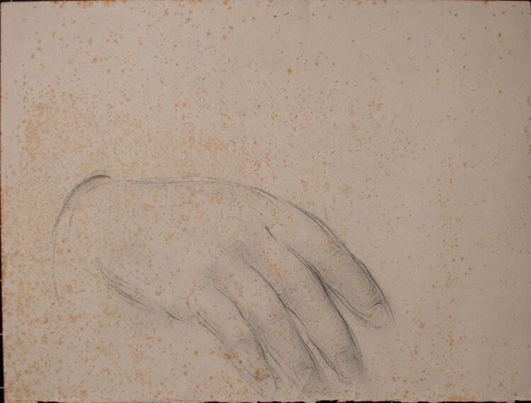 Willi Schmid - Handstudie - o.J. - Bleistift