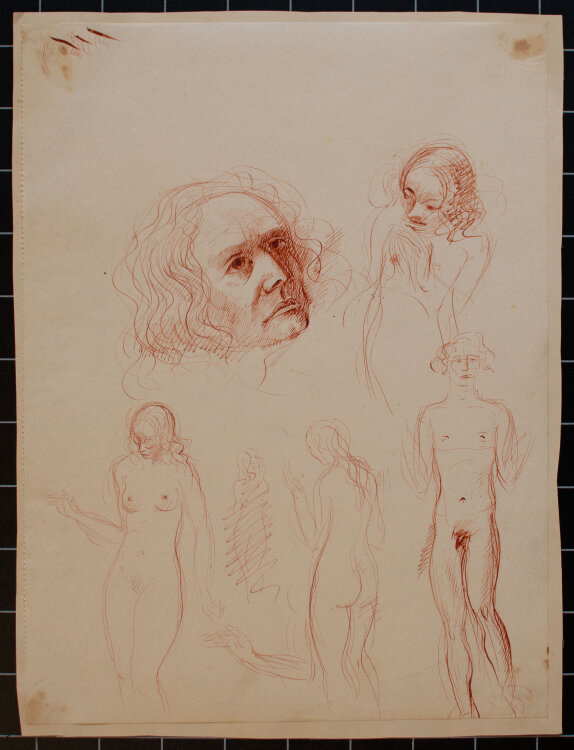 Willi Schmid - Figurenstudien mit Frauenakten und Männerkopf - o.J. - Tusche