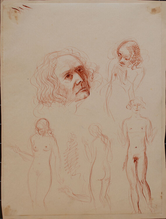 Willi Schmid - Figurenstudien mit Frauenakten und Männerkopf - o.J. - Tusche