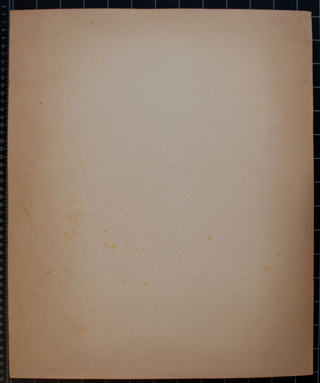 Willi Schmid - Männliches Porträt - 1936 - Bleistift, Pastell