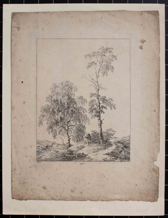 Max Josef Wagenbauer - Landschaft mit Birken - o.J. -...