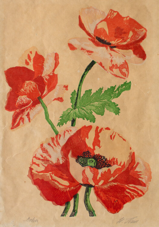 unleserlich signiert - Mohn - Anfang 1900 - Holzschnitt