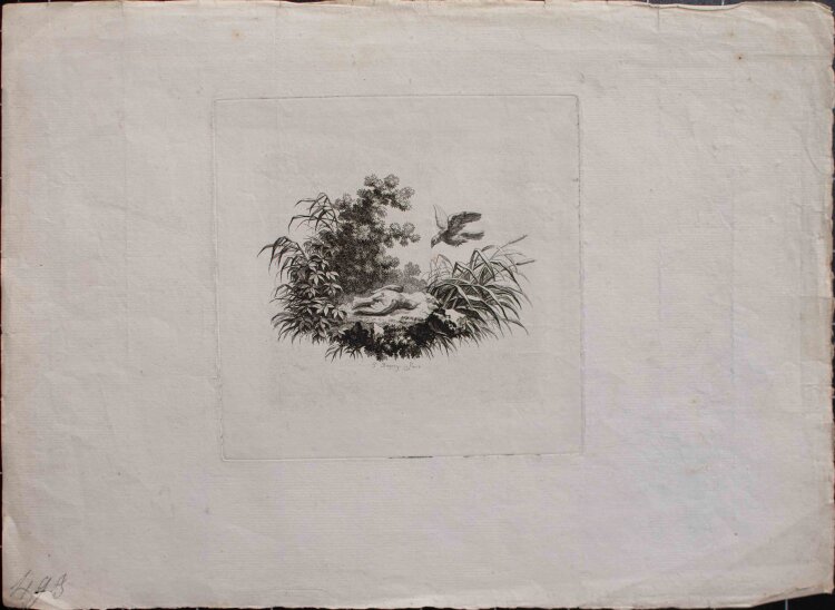 Pierre Charles Baquoy - Vögel - o.J. - Radierung