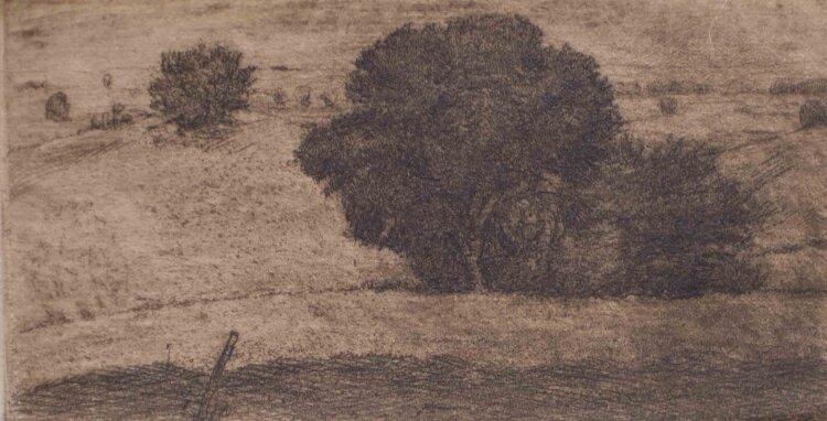 Georg Klapper - Hügellandschaft mit Baum - Anfang 1900 - Radierung in Braunton
