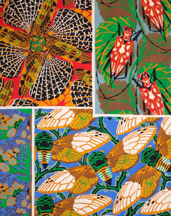 Émile-Allain Séguy - Insectes, Nachtfalter, Schmetterlinge und Harlekin-Käfer - 1929 - Lithografie, Pochoir