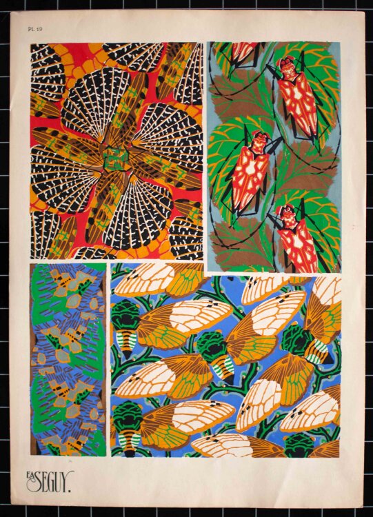 Émile-Allain Séguy - Insectes, Nachtfalter, Schmetterlinge und Harlekin-Käfer - 1929 - Lithografie, Pochoir