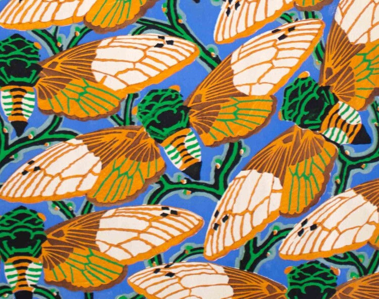 Émile-Allain Séguy - Insectes, Nachtfalter, Schmetterlinge und Harlekin-Käfer - 1929 - Lithografie, Pochoir