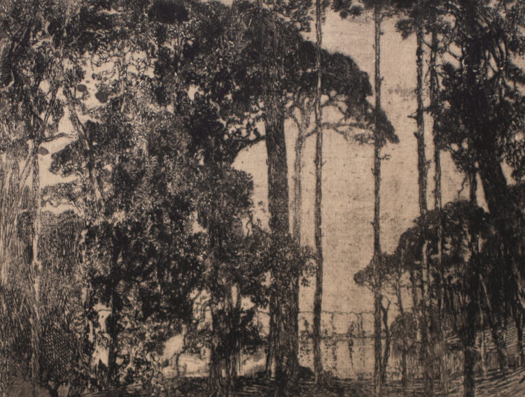 Artur Bär - Baumlandschaft am See - Anfang 1900 - Radierung
