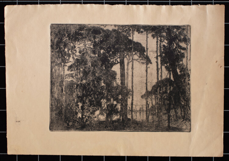 Artur Bär - Baumlandschaft am See - Anfang 1900 - Radierung