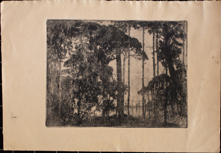 Artur Bär - Baumlandschaft am See - Anfang 1900 - Radierung