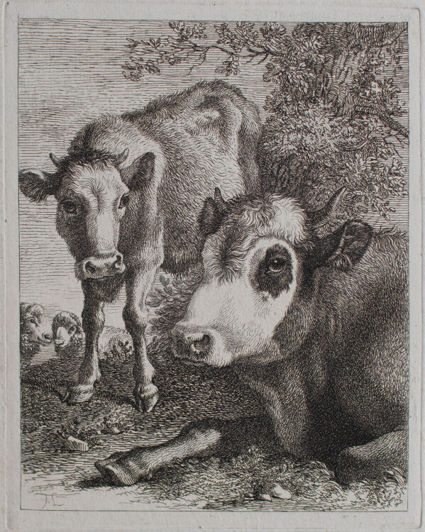 Francesco Londonio - Rind mit seinem Kalb und zwei Schafen - o.J. - Kupferstich