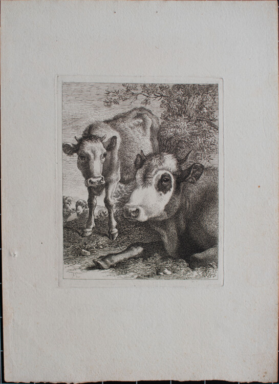 Francesco Londonio - Rind mit seinem Kalb und zwei Schafen - o.J. - Kupferstich