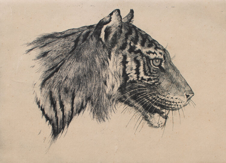 Ferdinand Höpner - Sunda-Tiger - o.J. - Radierung