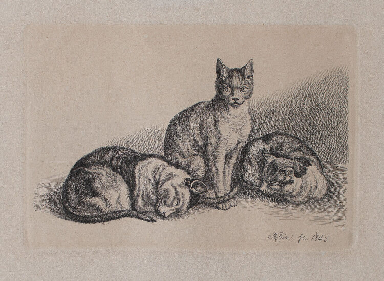 Johann Adam Klein - Katzen - 1845 - Kupferstich