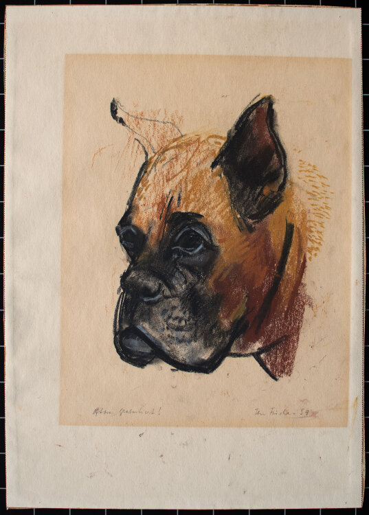 Ilse Fischer - Boxer (Hund) - 1959 - Pastell