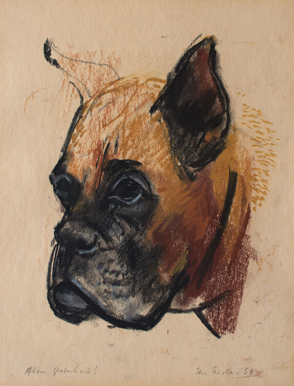 Ilse Fischer - Boxer (Hund) - 1959 - Pastell