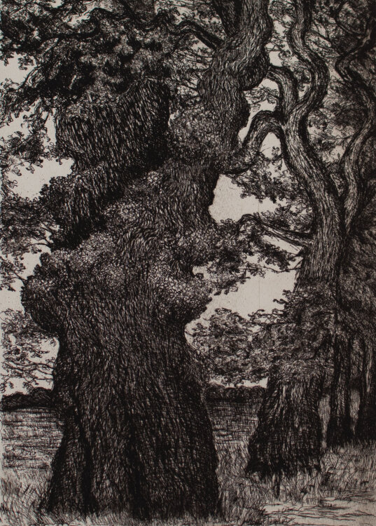 Monogrammiert M.D. - Baum in einer Allee - 1978 - Radierung