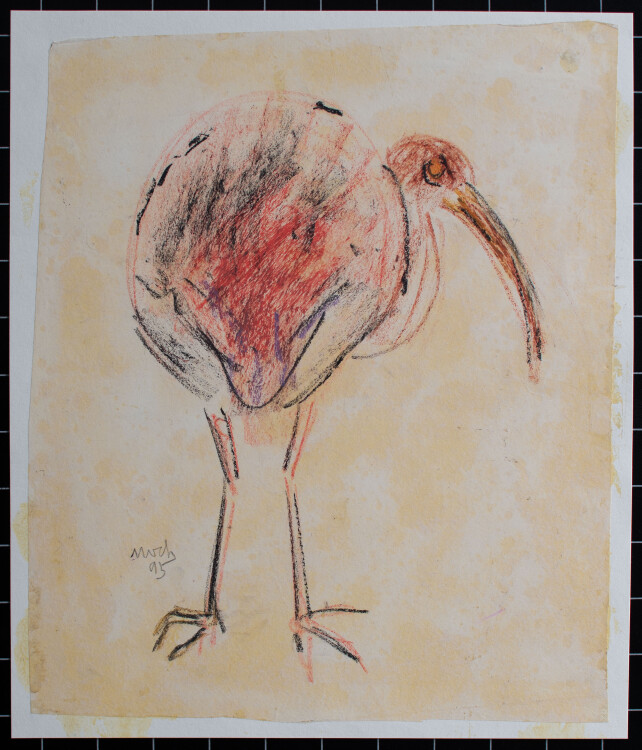 Helene Moch - tropischer Vogel, Ibis - 1995 - Farbkreide
