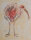 Helene Moch - tropischer Vogel, Ibis - 1995 - Farbkreide