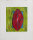 Willibrord Haas - Mandala - 2000 - Farbradierung