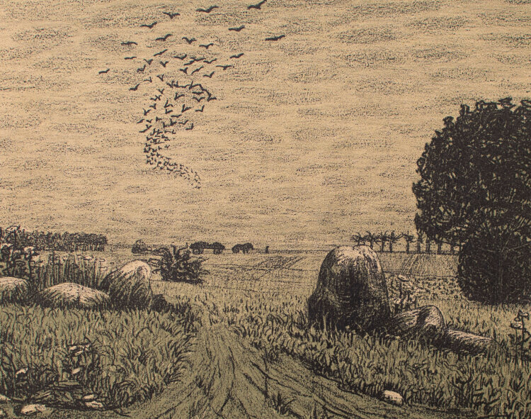 unbekannt - Feldlandschaft - 1905 - Lithografie
