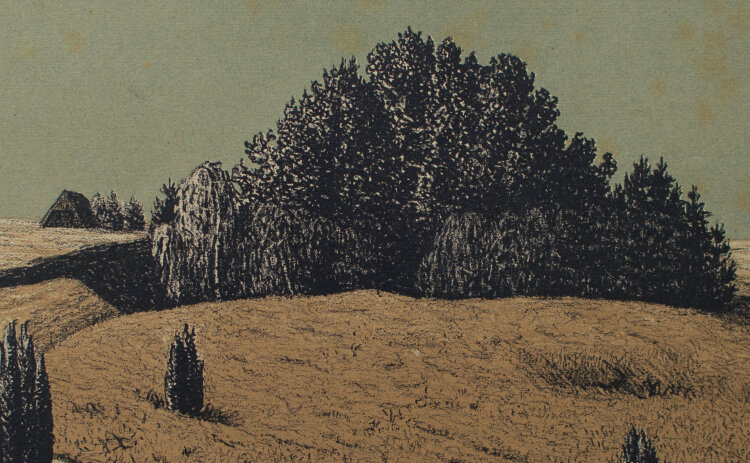 unbekannt - Lüneburger Heide - um 1905 - Lithografie