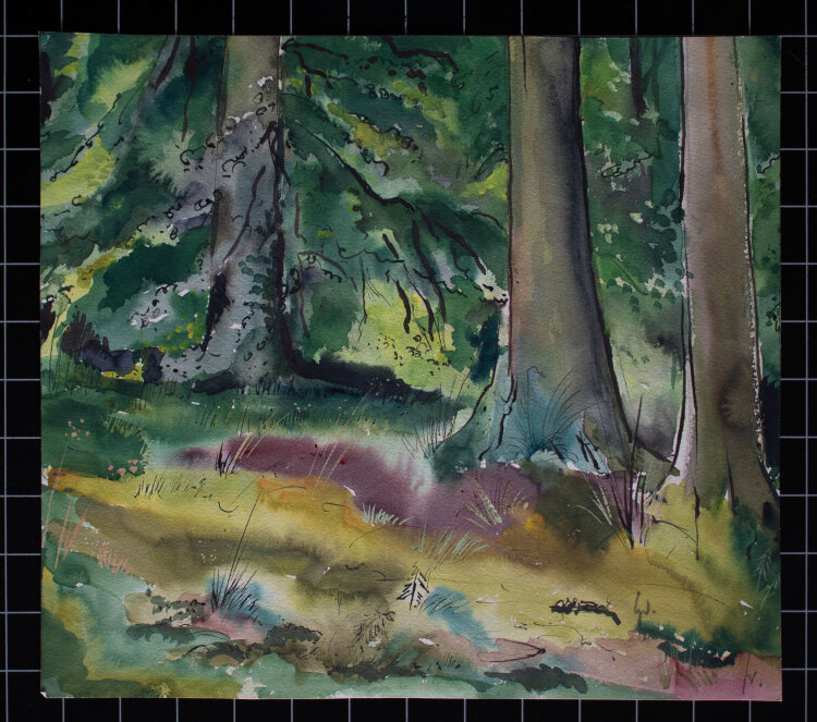Gerhard Schulte-Dahling - Wald - o.J. - Aquarell