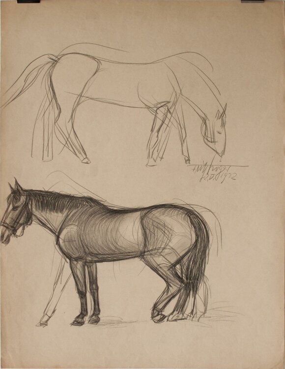 Fritz Tröger - Pferde - Zeichnung - 1932