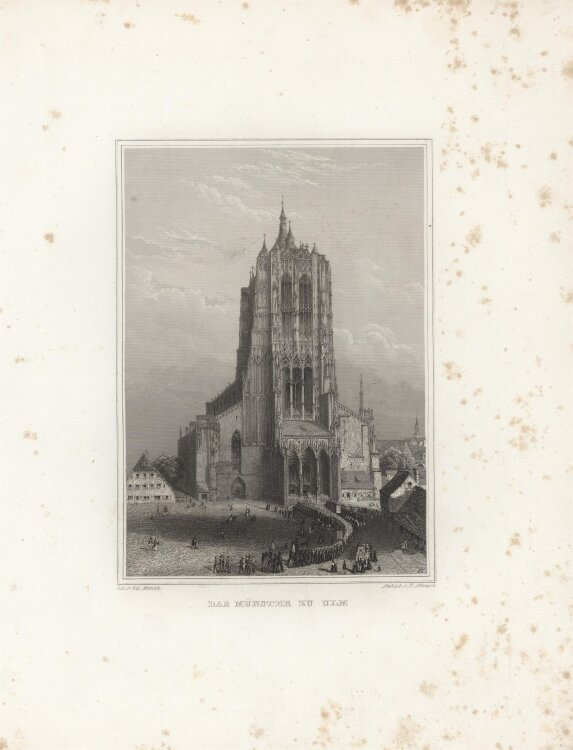 F. Abrasch - Münster zu Ulm - 1837 - Stahlstich