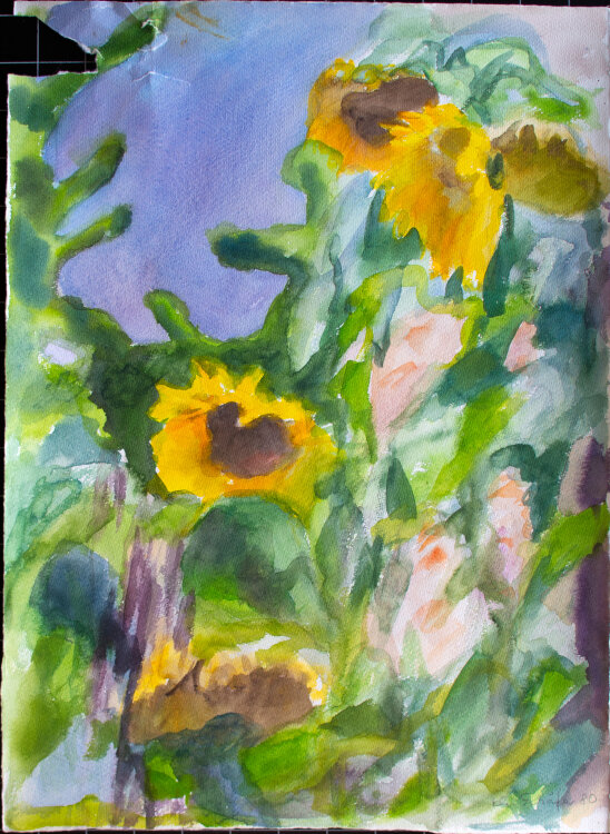 Karlheinz Schäfer - Sonnenblumen im Garten - 1980 - Aquarell