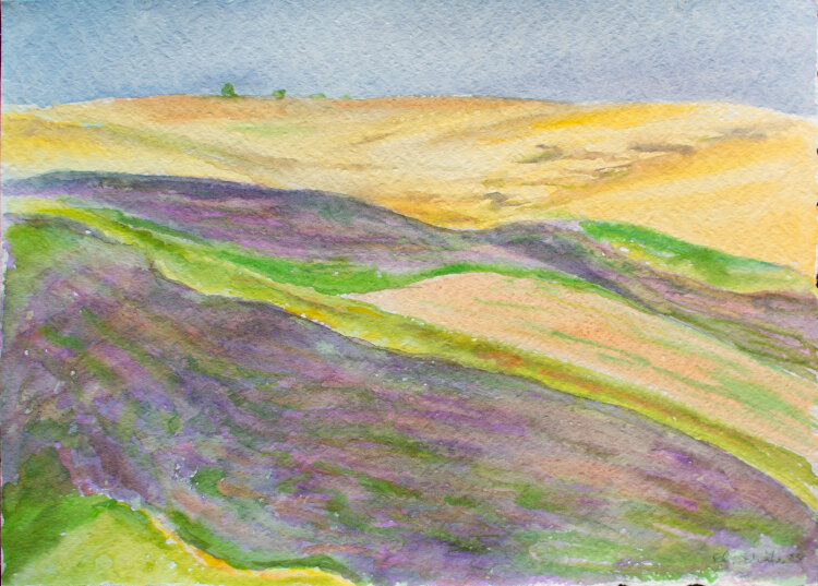 Karlheinz Schäfer - Wiesen - 1985 - Aquarell