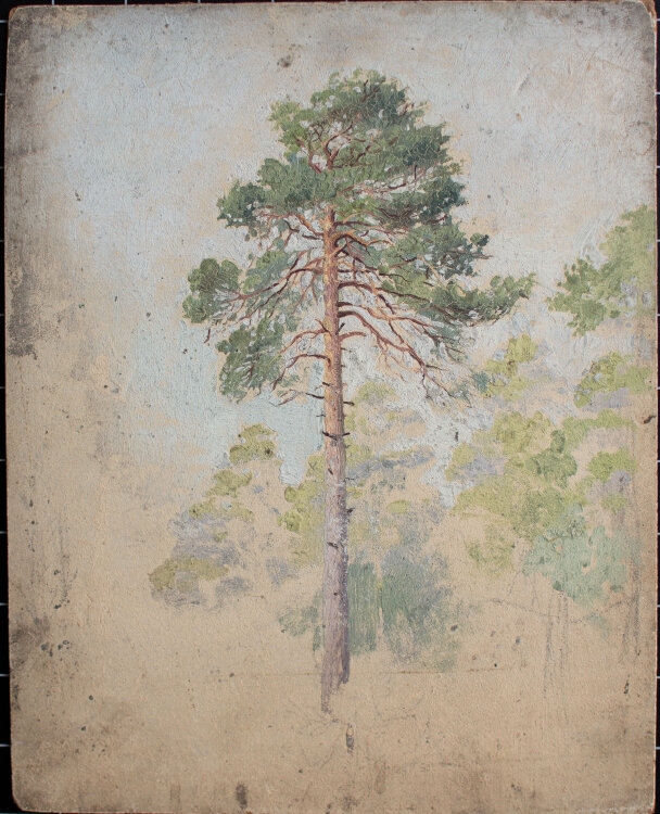 Józef Teofil Smolinski - Baumstudie - o.J. - Öl