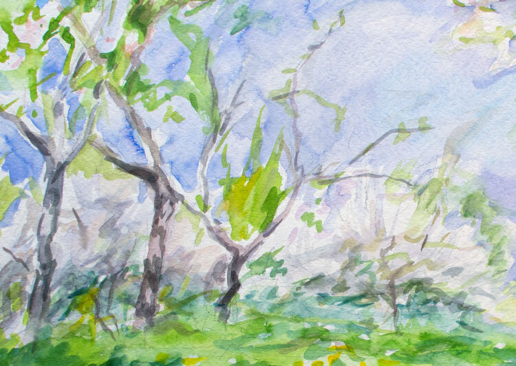 Karlheinz Schäfer - Weinberg - 1987 - Aquarell