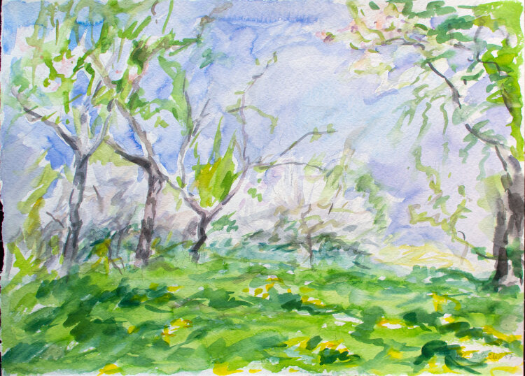 Karlheinz Schäfer - Weinberg - 1987 - Aquarell