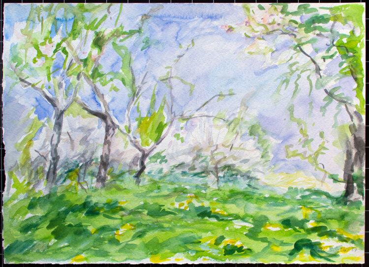 Karlheinz Schäfer - Weinberg - 1987 - Aquarell