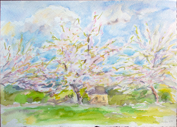 Karlheinz Schäfer - Frühlingsbaum - 1987 - Aquarell
