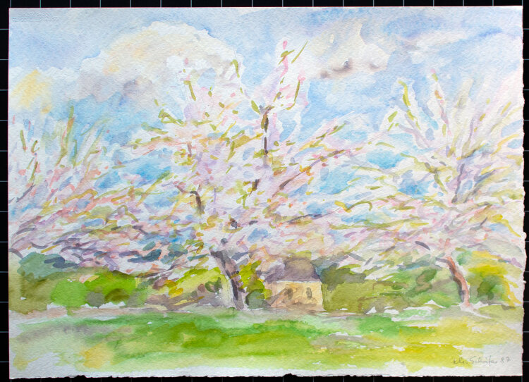 Karlheinz Schäfer - Frühlingsbaum - 1987 - Aquarell