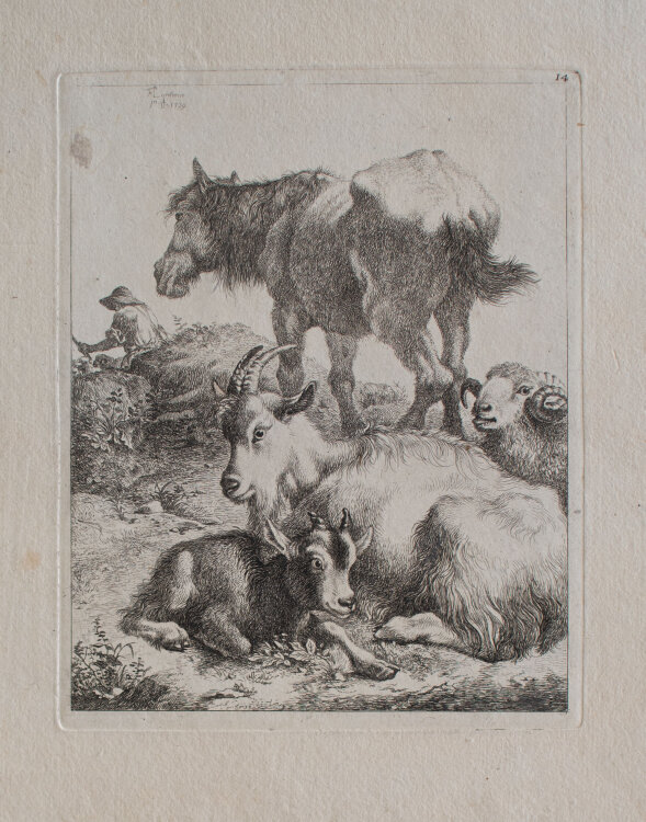Francesco Londonio - Tiere mit ihrem Hirten - 1759 - Radierung
