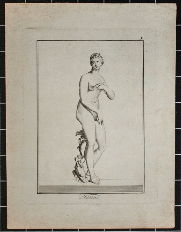 Unbekannter Künstler - Venus - Kupferstich - o. J.