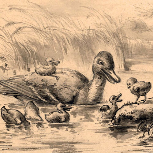 Georg Schmidt - Entenfamilie - 1902 - Aquarell