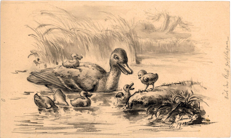 Georg Schmidt - Entenfamilie - 1902 - Aquarell