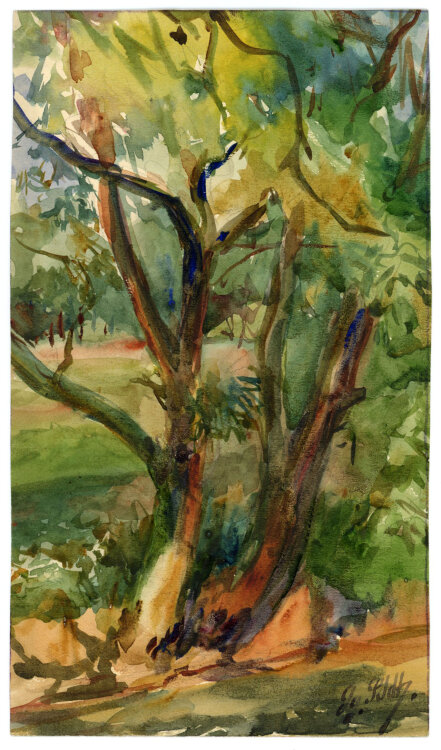 Georg Schmidt - Baum - o.J. - Aquarell