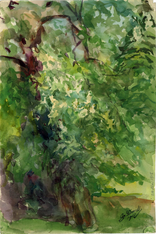Georg Schmidt - Baumstudie, Park - 1915 - Aquarell