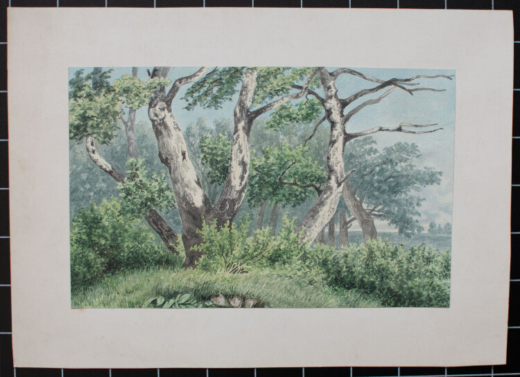 unbekannt - Birken im Frühling - o.J. - Aquarell