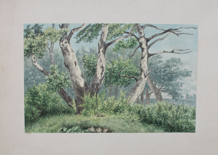 unbekannt - Birken im Frühling - o.J. - Aquarell