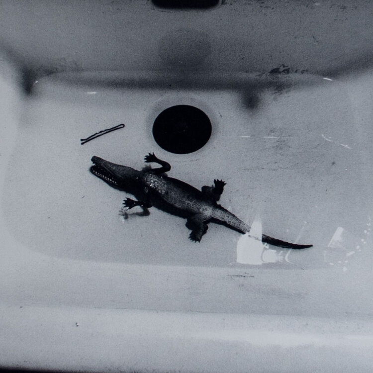 Lothar Baumgarten - Caiman, 1970 - 1978 - Offsetdruck